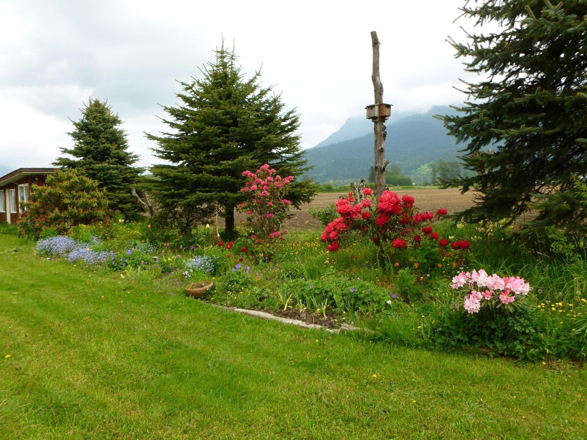 Harrison Mills Harrison Hammond House Farmstay المظهر الخارجي الصورة