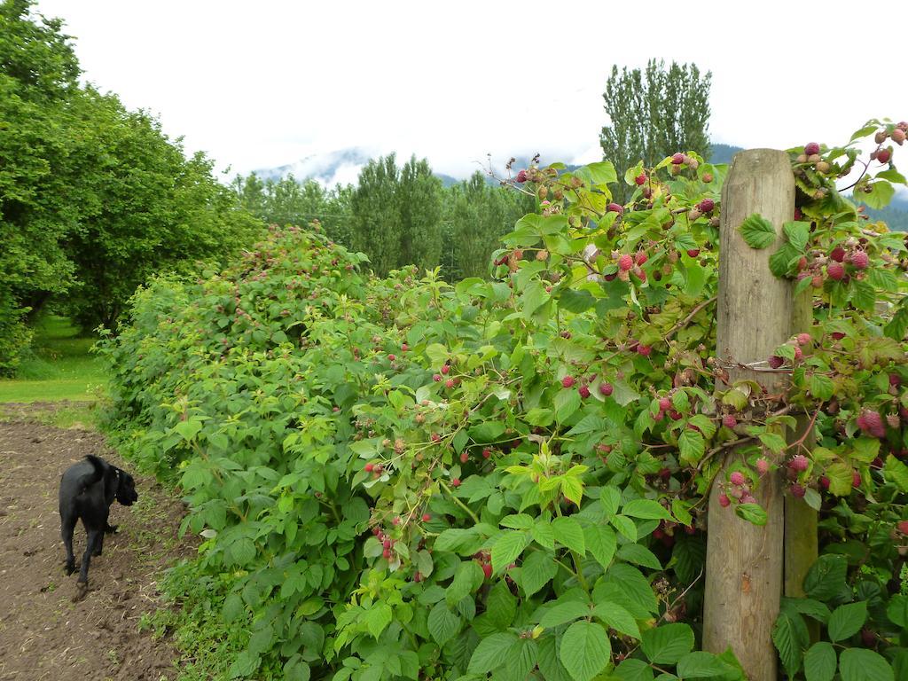 Harrison Mills Harrison Hammond House Farmstay المظهر الخارجي الصورة