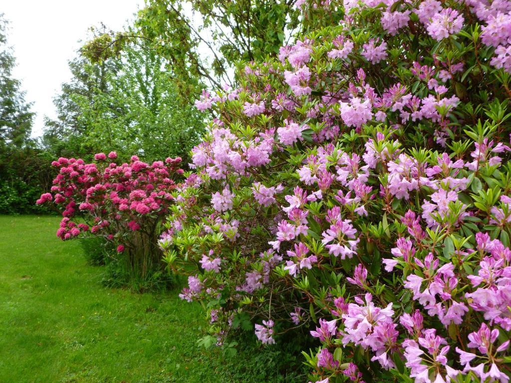 Harrison Mills Harrison Hammond House Farmstay المظهر الخارجي الصورة