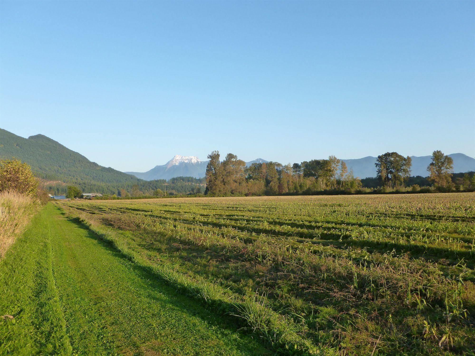 Harrison Mills Harrison Hammond House Farmstay المظهر الخارجي الصورة